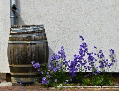 Je tuin is straks niet meer klaar voor een wolkbreuk